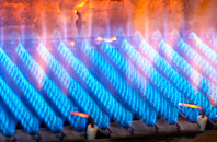 Fleetend gas fired boilers